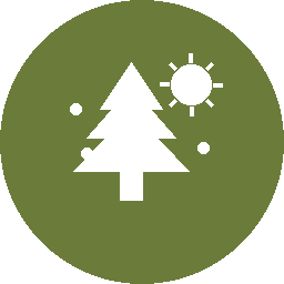 Icon fpr das Norrlandsinn und Bildungsreisen Grüner Hintergrund mit einer Tanne und einer Sonne, die strahlt.